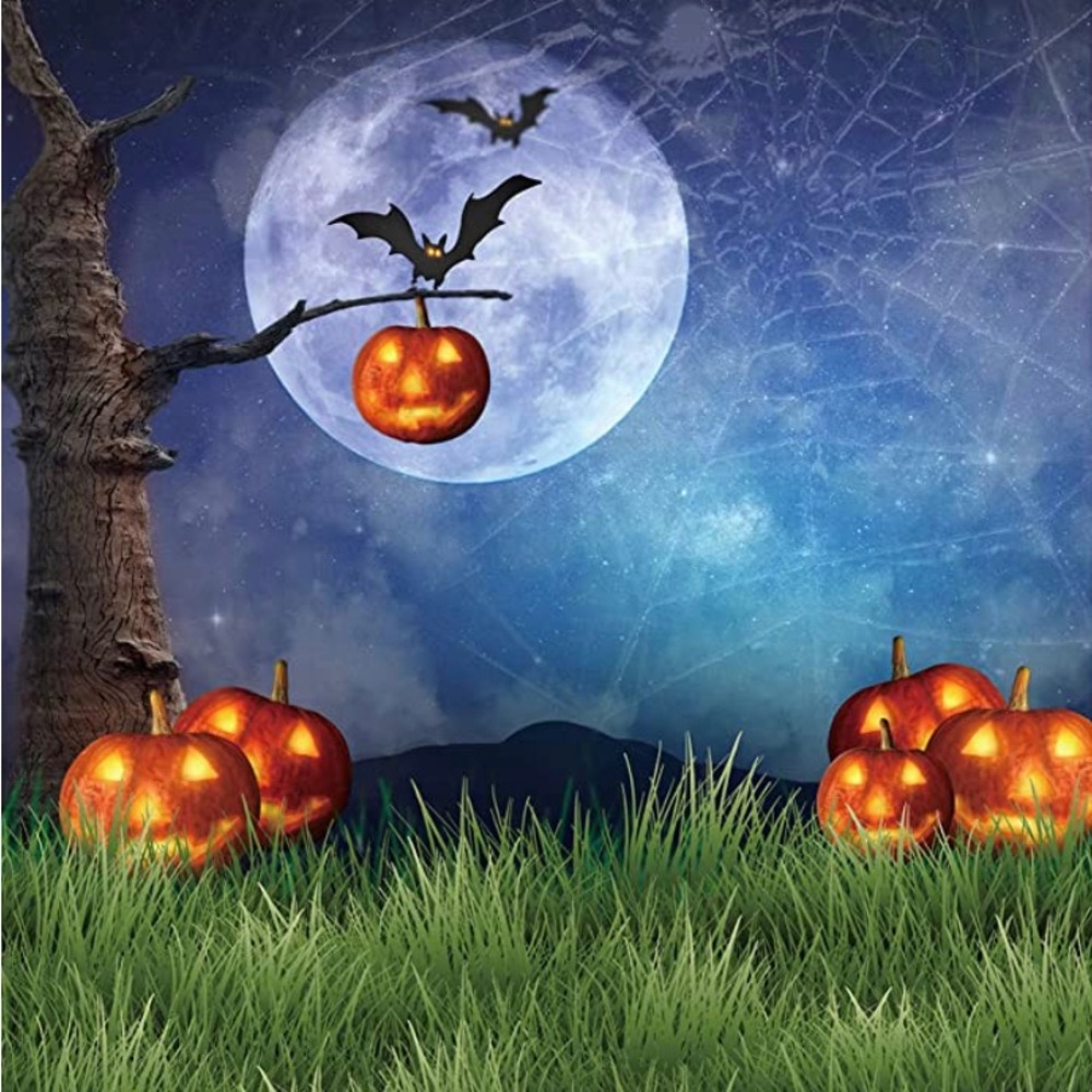 New 5x7 ft Halloween Themed Banner Backdrop for Photography or Party